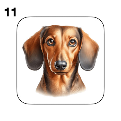 Coasters - 53x different images of Dachshund dog breed