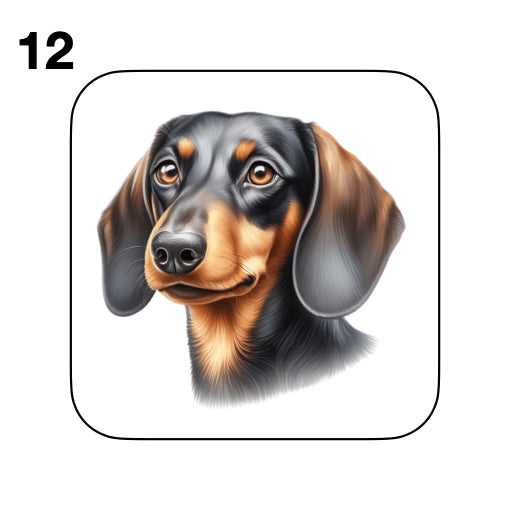 Coasters - 53x different images of Dachshund dog breed