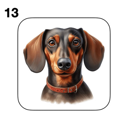 Coasters - 53x different images of Dachshund dog breed