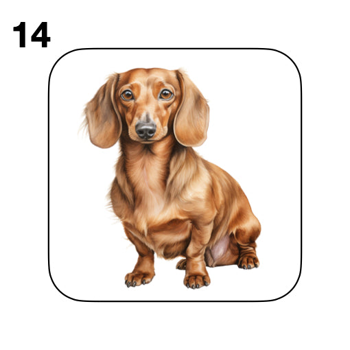 Coasters - 53x different images of Dachshund dog breed