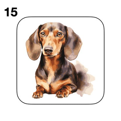Coasters - 53x different images of Dachshund dog breed
