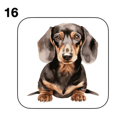 Coasters - 53x different images of Dachshund dog breed
