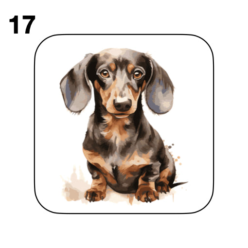 Coasters - 53x different images of Dachshund dog breed
