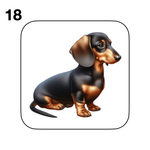 Coasters - 53x different images of Dachshund dog breed