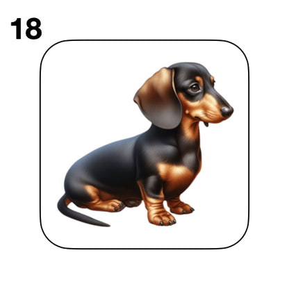 Coasters - 53x different images of Dachshund dog breed