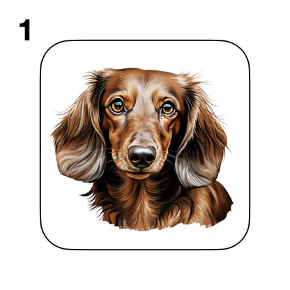 Coasters - 53x different images of Dachshund dog breed