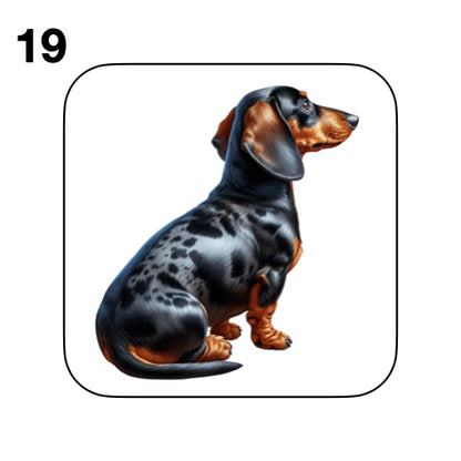 Coasters - 53x different images of Dachshund dog breed