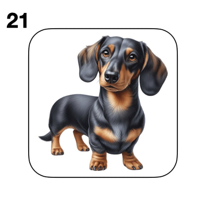Coasters - 53x different images of Dachshund dog breed