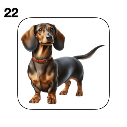 Coasters - 53x different images of Dachshund dog breed