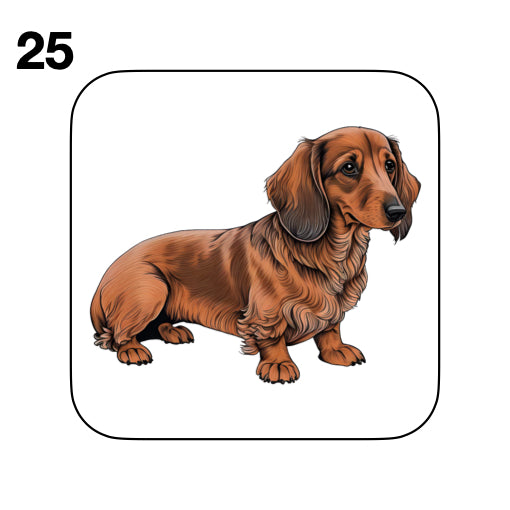 Coasters - 53x different images of Dachshund dog breed