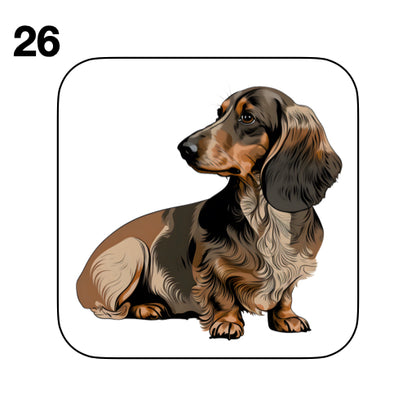 Coasters - 53x different images of Dachshund dog breed