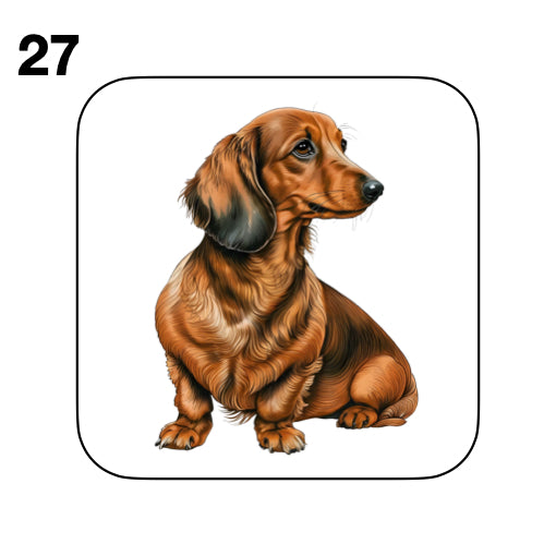Coasters - 53x different images of Dachshund dog breed