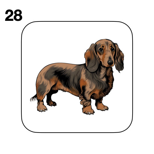 Coasters - 53x different images of Dachshund dog breed