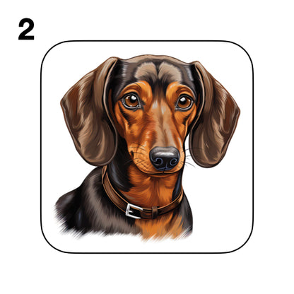 Coasters - 53x different images of Dachshund dog breed