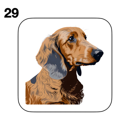 Coasters - 53x different images of Dachshund dog breed