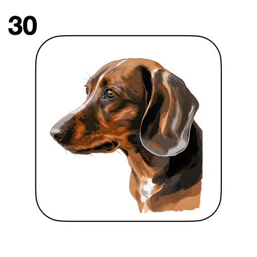 Coasters - 53x different images of Dachshund dog breed