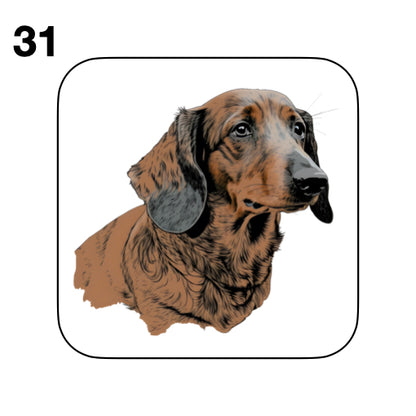 Coasters - 53x different images of Dachshund dog breed