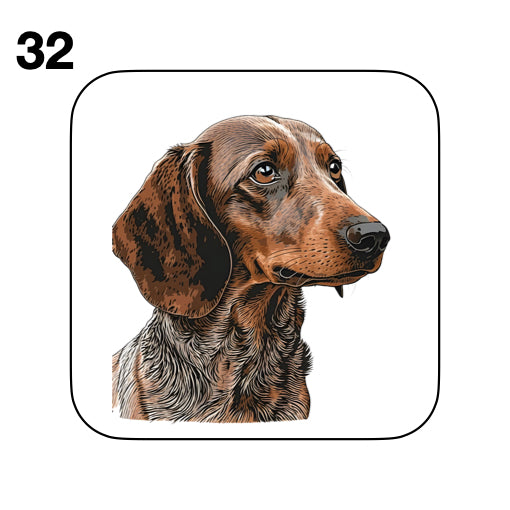 Coasters - 53x different images of Dachshund dog breed