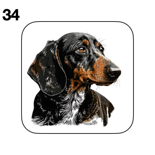 Coasters - 53x different images of Dachshund dog breed