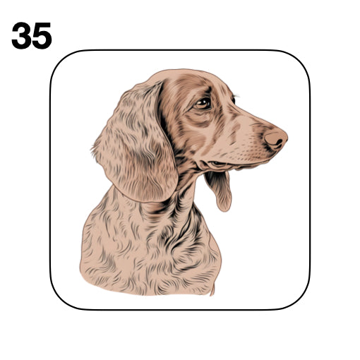 Coasters - 53x different images of Dachshund dog breed