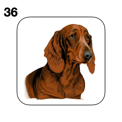 Coasters - 53x different images of Dachshund dog breed