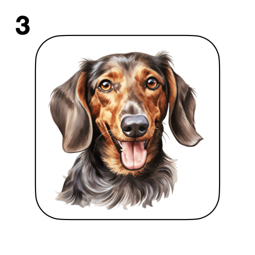 Coasters - 53x different images of Dachshund dog breed