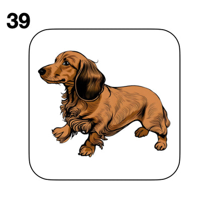 Coasters - 53x different images of Dachshund dog breed