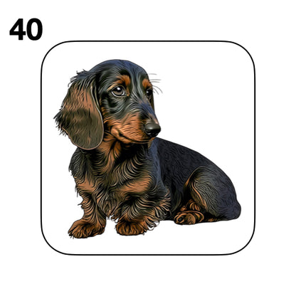 Coasters - 53x different images of Dachshund dog breed