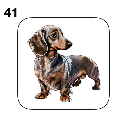 Coasters - 53x different images of Dachshund dog breed