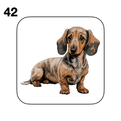 Coasters - 53x different images of Dachshund dog breed