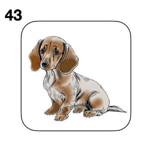 Coasters - 53x different images of Dachshund dog breed