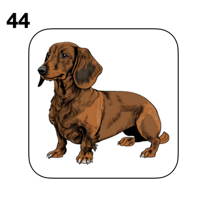 Coasters - 53x different images of Dachshund dog breed