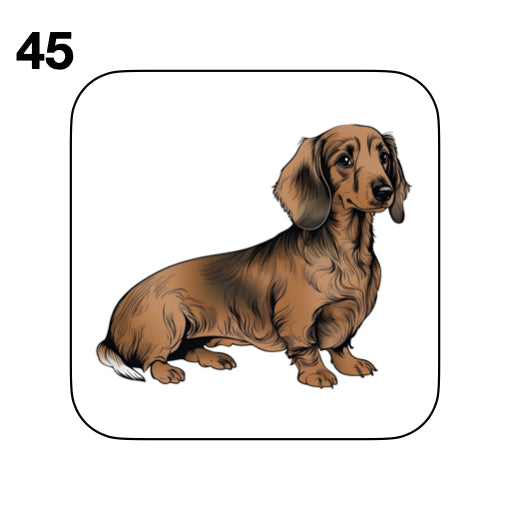Coasters - 53x different images of Dachshund dog breed