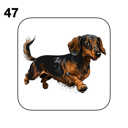 Coasters - 53x different images of Dachshund dog breed