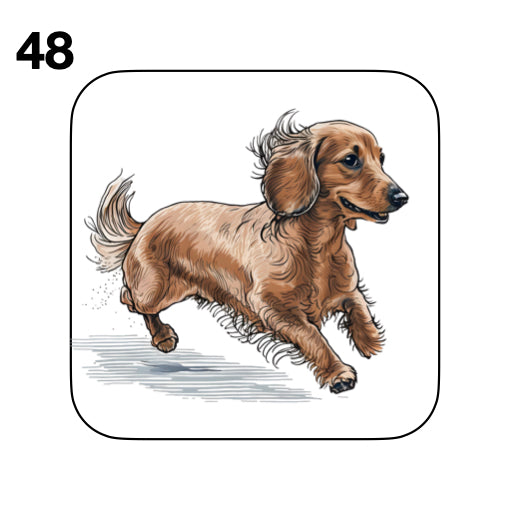 Coasters - 53x different images of Dachshund dog breed