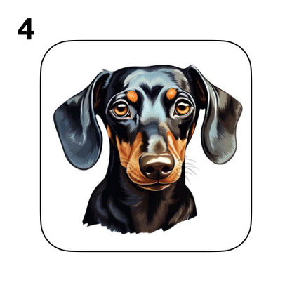 Coasters - 53x different images of Dachshund dog breed