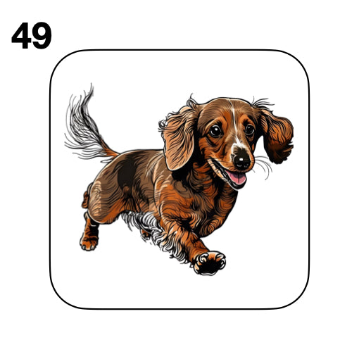Coasters - 53x different images of Dachshund dog breed