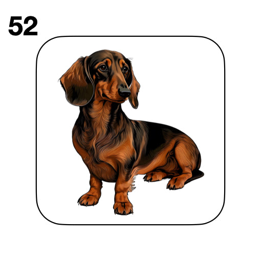 Coasters - 53x different images of Dachshund dog breed