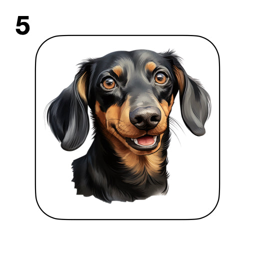 Coasters - 53x different images of Dachshund dog breed