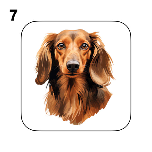 Coasters - 53x different images of Dachshund dog breed