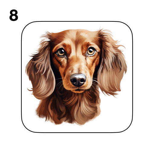 Coasters - 53x different images of Dachshund dog breed