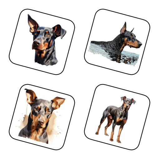 Coasters - 42x different images of Doberman dog breed