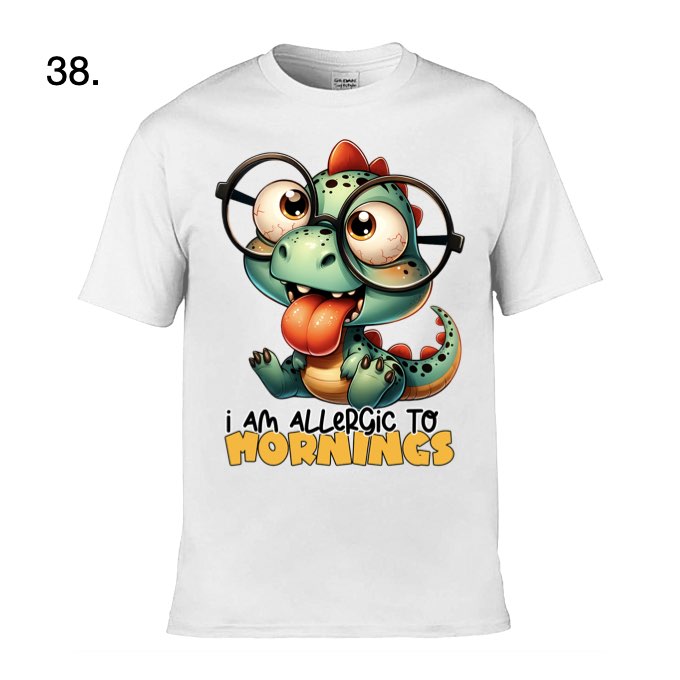 Adult - Sarcastic Sayings with Dragons - 5 images