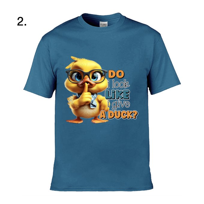 Adult - Sarcastic Sayings with Ducks - 13  images