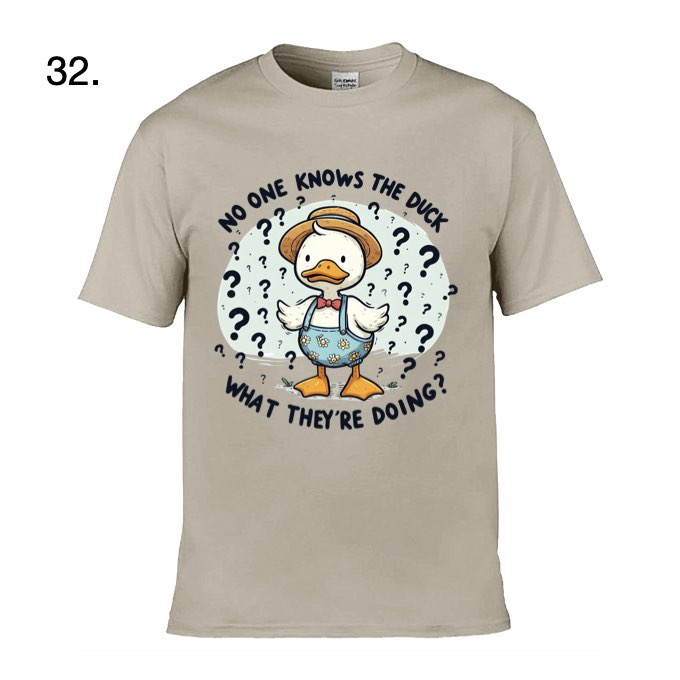 Adult - Sarcastic Sayings with Ducks - 13  images