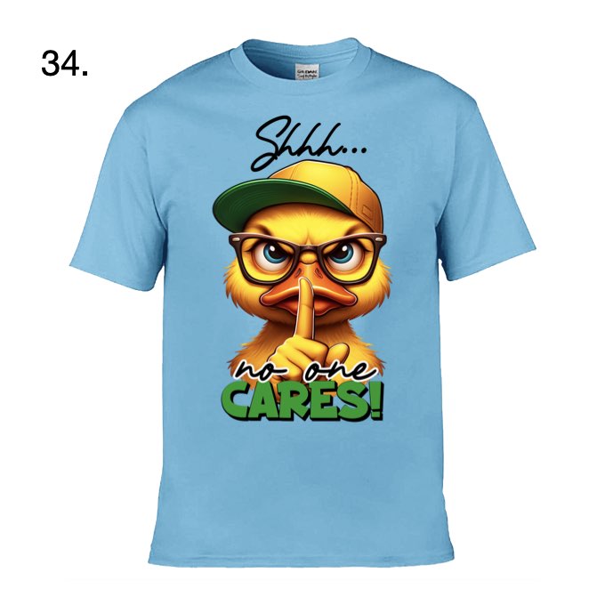 Adult - Sarcastic Sayings with Ducks - 13  images