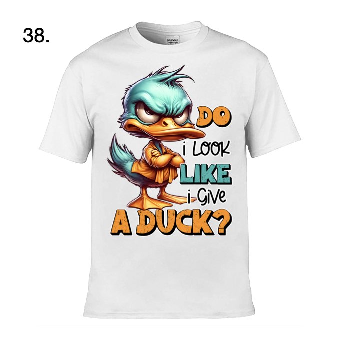 Adult - Sarcastic Sayings with Ducks - 13  images