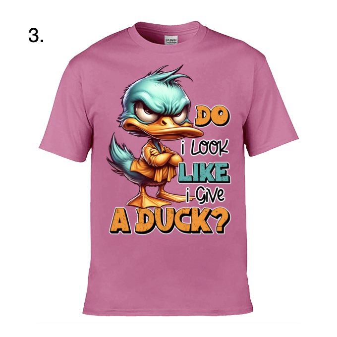 Adult - Sarcastic Sayings with Ducks - 13  images