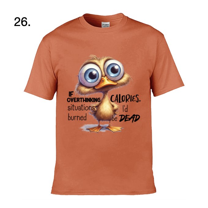 Adult - Sarcastic Sayings with Ducks - 13  images