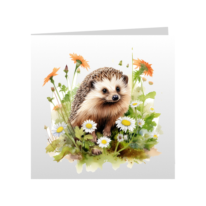 Square Greeting Cards - Hedgehogs - Group B